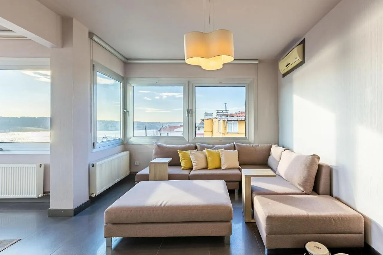 Stylish Apartment With Bosphorus View In Besiktas 伊斯坦布尔
