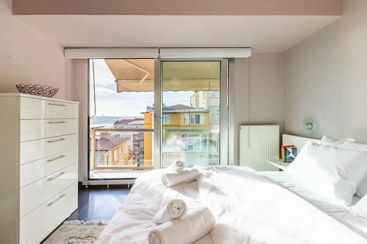 Stylish Apartment With Bosphorus View In Besiktas 伊斯坦布尔 0*,  土耳其