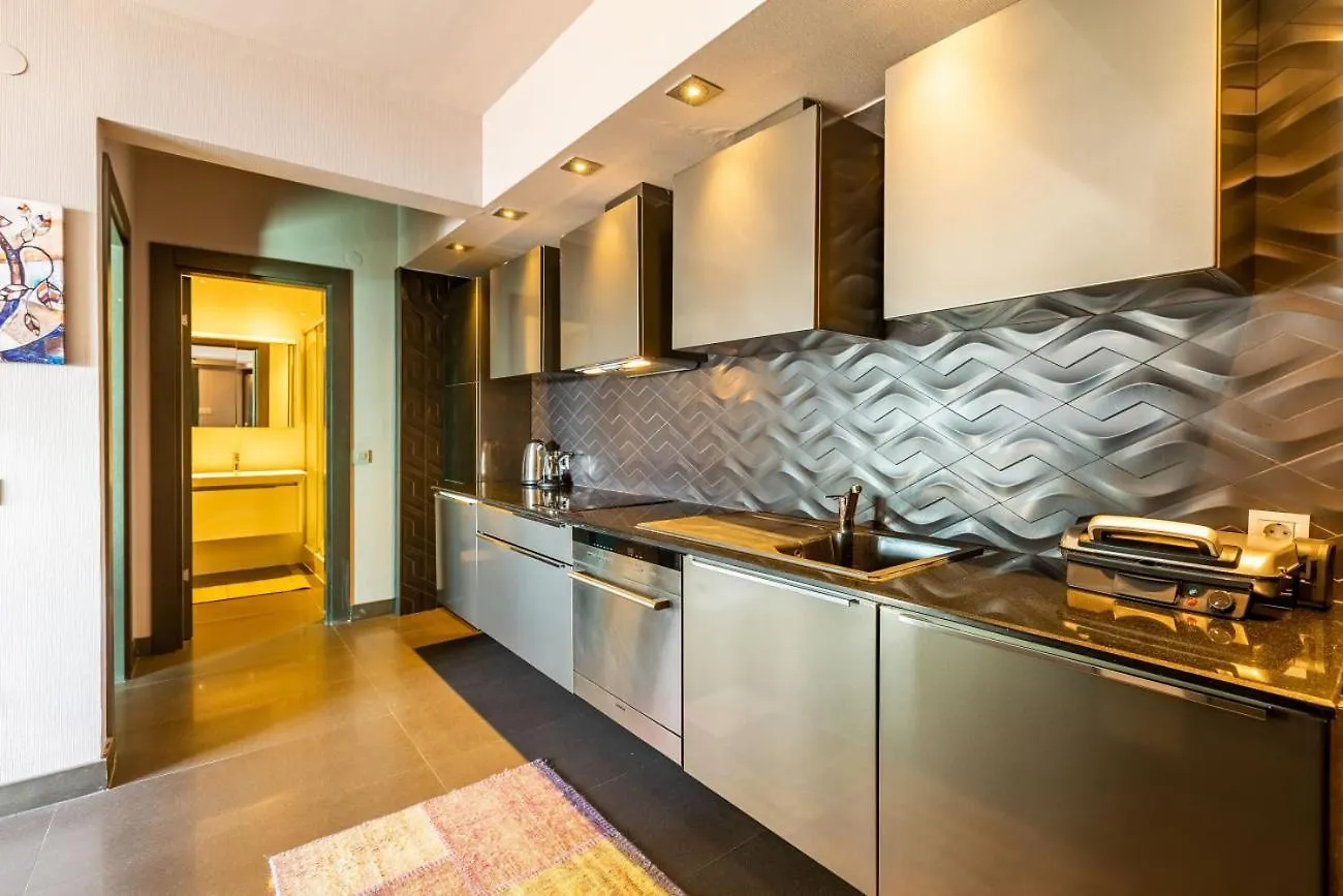 Stylish Apartment With Bosphorus View In Besiktas 伊斯坦布尔